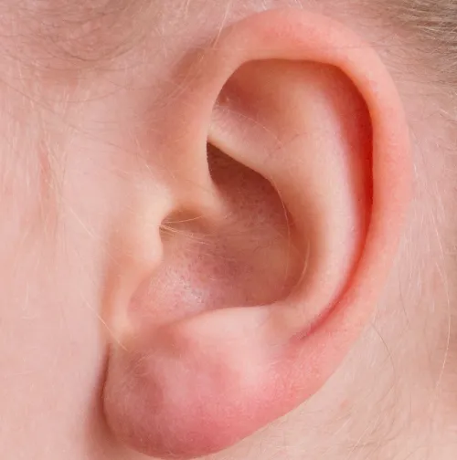 oreja humana